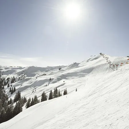 Apartment Ferienwohnung John Seymour Leogang