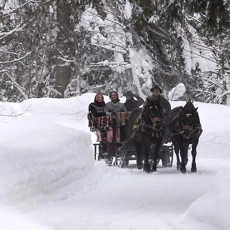 Ferienwohnung John Seymour * Leogang
